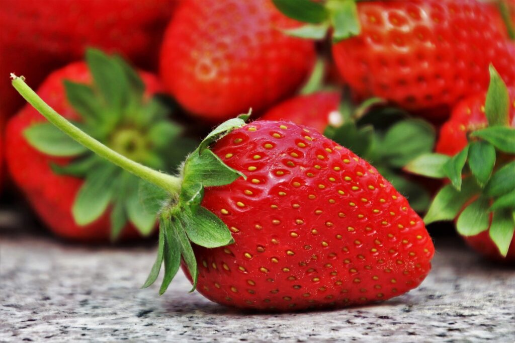 Rote Erdbeeren, Unterrichtsmaterial und Hilfsmittel
