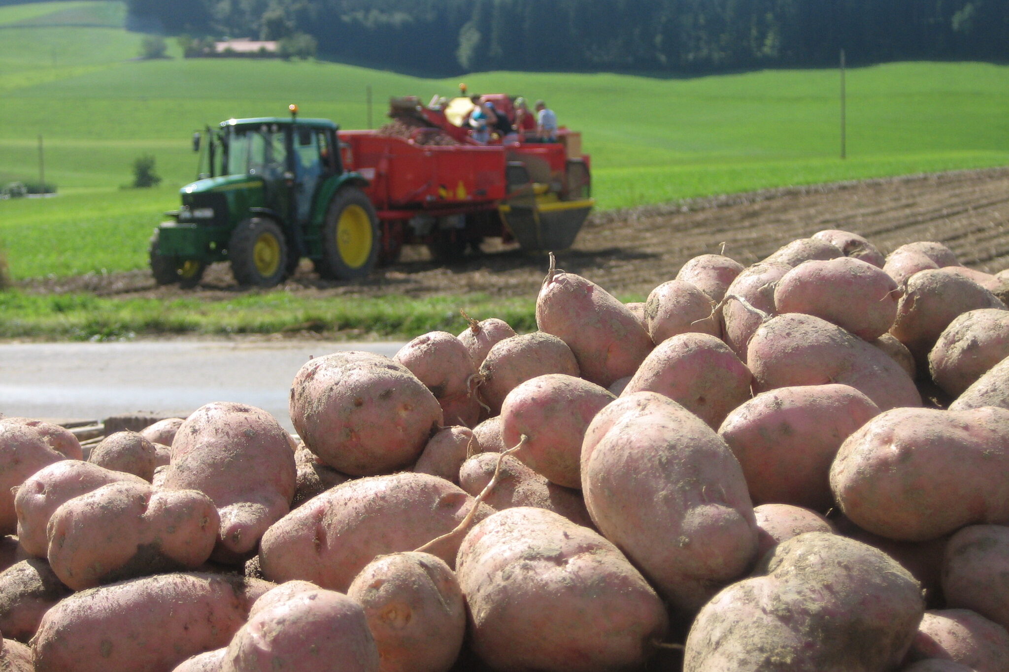 Die im Hintergrund laufende Kartoffelernte als Beispiel für das Themenfeld vom Acker auf den Teller bei Schule auf dem Bauernhof