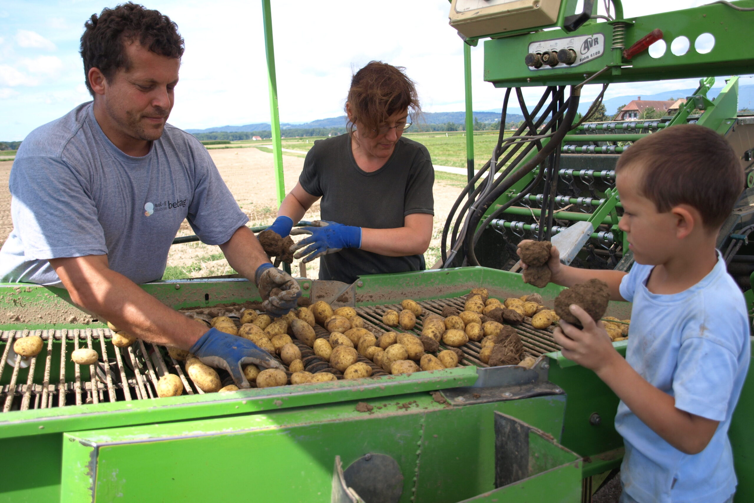 Kartoffelernte ist immer noch mit viel Handarbeit verbunden. Vom Acker auf den Teller bei Schule auf dem Bauernhof. 