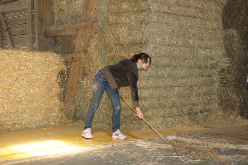 Eine Schülerin schlägt das Korn aus der Getreideähre bei Schule auf dem Bauernhof