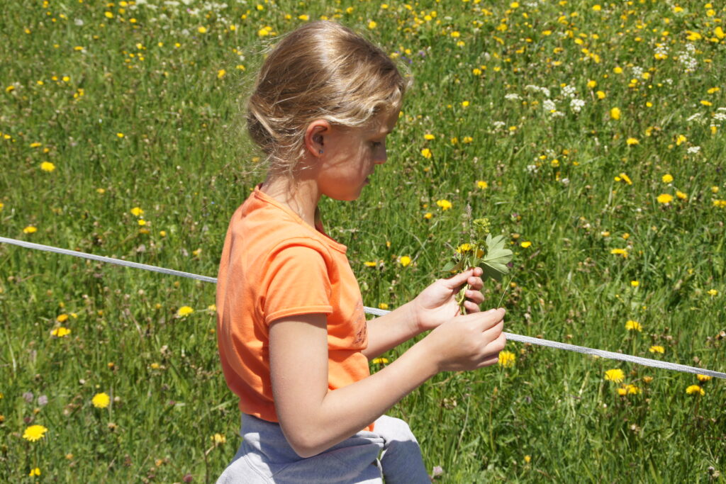 Mädchen auf Bauernhof Ausflug beobachtet Pflanze. Hilfsmittel für Schule auf dem Bauernhof 