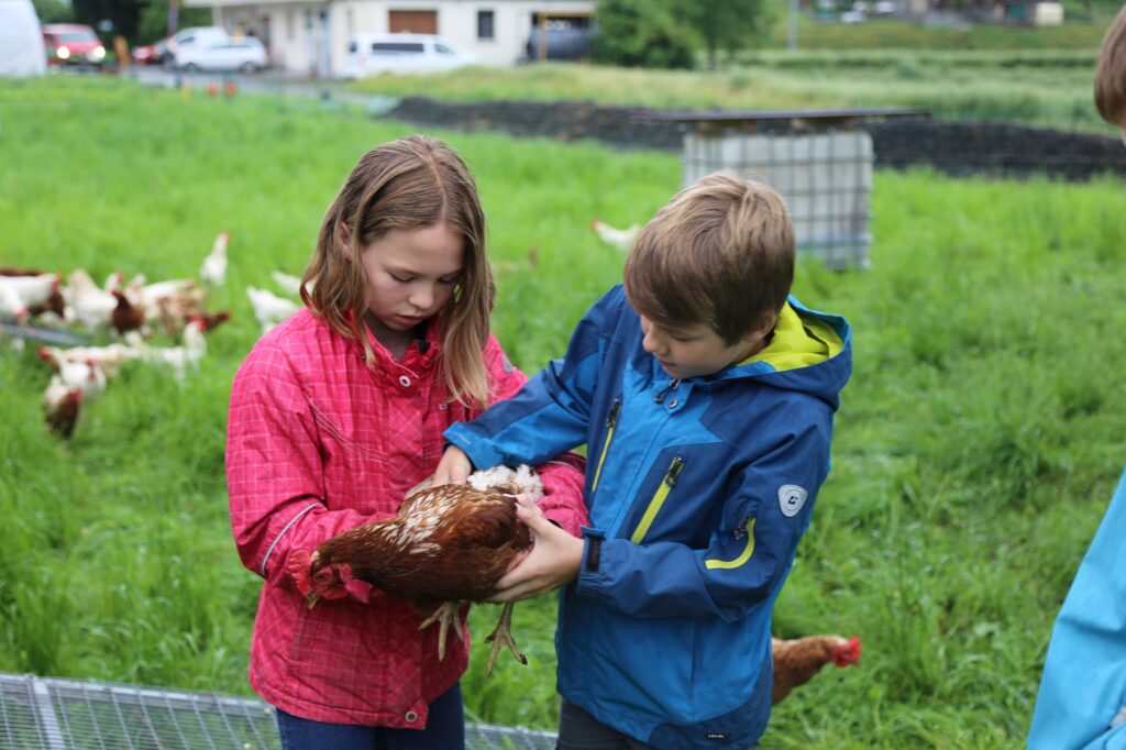 Kinder halten Hühner und betrachten das Tier. Mehr über Hühner erfahren